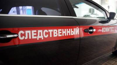 Александр Бастрыкин - Опорочили честь мундира: СК возбудил уголовное дело после драки полицейских в Санкт-Петербурге - russian.rt.com - Россия - Санкт-Петербург