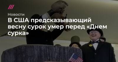 В США предсказывающий весну сурок умер перед «Днем сурка» - tvrain.ru - США