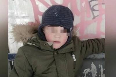 «Маленький, шустрый»: в «Лизе Алерт» рассказали, как нашли в торговом центре пропавшего в Новосибирске ребенка - novos.mk.ru - Новосибирск - Новосибирская обл.