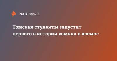 Томские студенты запустят первого в истории хомяка в космос - ren.tv - Томск