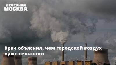 Врач объяснил, чем городской воздух хуже сельского - vm.ru - Москва - Петр Бирюков