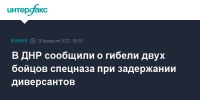 В ДНР сообщили о гибели двух бойцов спецназа при задержании диверсантов - interfax.ru - Москва - Россия - Украина - ДНР - Донецк - Ростовская обл. - ЛНР - Донбасс