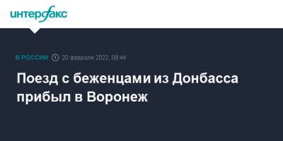 Поезд с беженцами из Донбасса прибыл в Воронеж - interfax.ru - Москва - Воронеж - ДНР - Воронежская обл. - Ростовская обл. - ЛНР - Донбасс