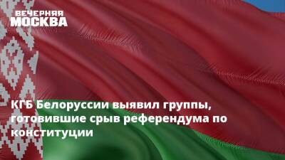 Александр Лукашенко - Алексей Полищук - КГБ Белоруссии выявил группы, готовившие срыв референдума по конституции - vm.ru - Россия - Белоруссия - Конституция