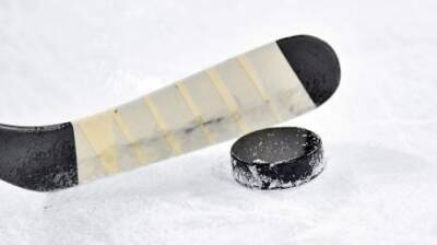 Антон Слепышев - Пензенские хоккеисты выиграли серебро на Олимпиаде - penzainform.ru - Россия - Швеция - Финляндия - Пекин