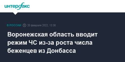 Александр Гусев - Воронежская область вводит режим ЧС из-за роста числа беженцев из Донбасса - interfax.ru - Москва - Воронеж - ДНР - Воронежская обл. - ЛНР - Курск - Донбасс - Донецкая обл.