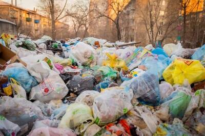 Жители Краснокаменска возмутились, что мусор со свалки в Борзе привезут на их полигон - chita.ru - Москва - Хабаровск - Забайкальский край - Чита - Краснокаменск