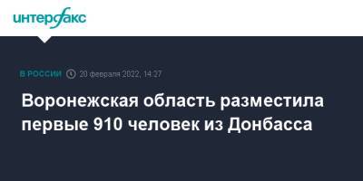 Воронежская область разместила первые 910 человек из Донбасса - interfax.ru - Москва - Россия - Воронеж - ДНР - Воронежская обл. - ЛНР - Донбасс - Донбасс