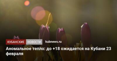 Аномальное тепло: до +18 ожидается на Кубани 23 февраля - kubnews.ru - Анапа - Краснодарский край - Геленджик