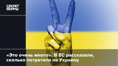 Жозеп Боррель - «Это очень много». В ЕС рассказали, сколько потратили на Украину - secretmag.ru - Украина - Киев - с. 2014 Года