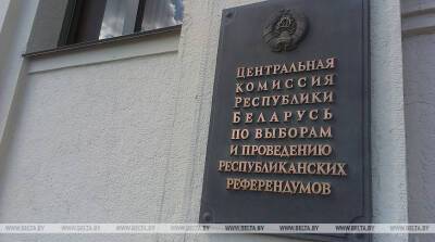 Лидия Ермошина - "Болею за работу своих коллег". Ермошина о Конституции и работе ЦИК - belta.by - Белоруссия