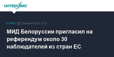 Владимир Макей - МИД Белоруссии пригласил на референдум около 30 наблюдателей из стран ЕС - interfax.ru - Москва - Белоруссия