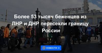 Более 53 тысяч беженцев из ЛНР и ДНР пересекли границу России - news.mail.ru - Россия - США - Украина - Киев - ДНР - Ростовская обл. - ЛНР - Донбасс