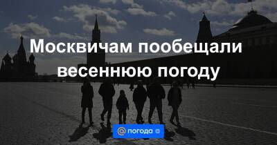Москвичам пообещали весеннюю погоду - news.mail.ru - Москва - Россия