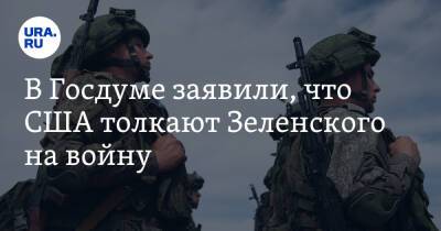 Владимир Зеленский - Михаил Шеремет - В Госдуме заявили, что США толкают Зеленского на войну. «Это мечта американцев» - ura.news - Россия - США - Украина - Франция