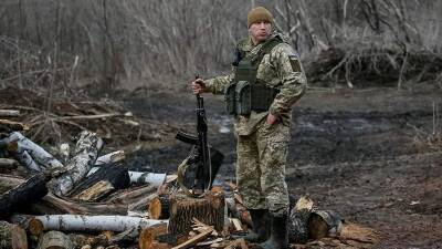 Владимир Зеленский - Владимир Путин - Эммануэль Макрон - Дмитрий Полянский - Полянский уличил Запад в игнорировании обострения на востоке Украины - iz.ru - Россия - Украина - Киев - Израиль - Франция
