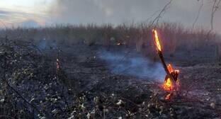 Жители азербайджанского села подключились к тушению природного пожара - kavkaz-uzel.eu - Азербайджан