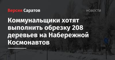 Коммунальщики хотят выполнить обрезку 208 деревьев на Набережной Космонавтов - nversia.ru - Саратов - район Заводский