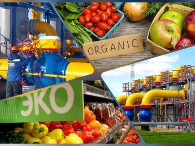 Когда кончатся нефть и газ: на какую «иглу» Россия может подсадить Европу после исчерпания энергоресурсов - bloknot.ru - Россия - США - Англия - Австралия - Германия - Франция - Аргентина - Уругвай - Экология