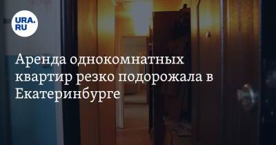 Аренда однокомнатных квартир резко подорожала в Екатеринбурге - ura.news - Екатеринбург