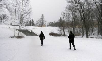 На Петрозаводск надвигается мощный снегопад - gubdaily.ru - Петрозаводск - республика Карелия