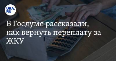 Светлана Разворотнева - В Госдуме рассказали, как вернуть переплату за ЖКУ - ura.news - Россия