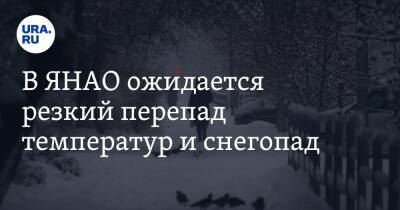 В ЯНАО ожидается резкий перепад температур и снегопад - ura.news - окр. Янао