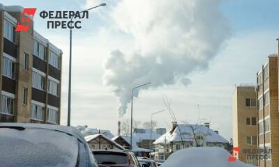 В Тюмени вернулись к вопросу утилизации биоотходов - fedpress.ru - Тюмень