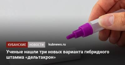 Ученые нашли три новых варианта гибридного штамма «дельтакрон» - kubnews.ru - Австралия