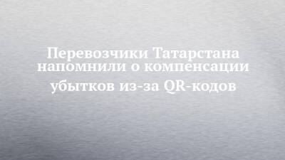Сергей Темляков - Алексей Песошин - Перевозчики Татарстана напомнили о компенсации убытков из-за QR-кодов - chelny-izvest.ru - респ. Татарстан - Казань