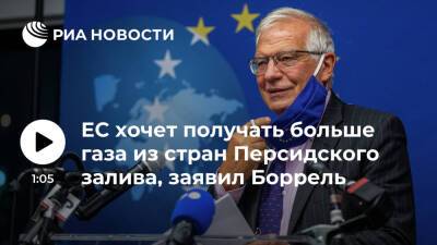 Жозеп Боррель - Глава евродипломатии Боррель: ЕС хочет получать больше газа из стран Персидского залива - ria.ru - Брюссель - Персия - Персидский Залив