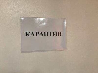 Анна Казак - Названо число школ Башкирии, полностью закрытых на карантин - ufacitynews.ru - Башкирия