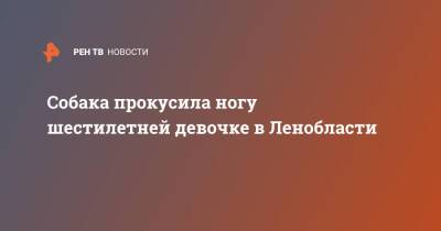 Собака прокусила ногу шестилетней девочке в Ленобласти - ren.tv - Ленинградская обл.