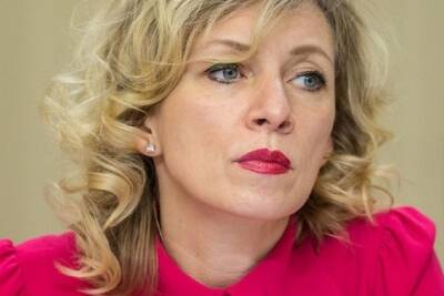 Мария Захарова - Захарова посмеялась на украинскими депутатами, накануне «вторжения» обсуждающими спасение пчел - mk.ru - Россия - Киев - ДНР - Донецкая обл.