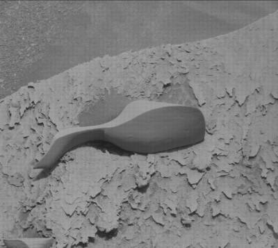 NASA сделало удивительную фотографию на Марсе: пользователи строят теории - narodna-pravda.ua - Украина - Донецк