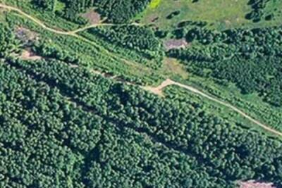 За лесничествами Костромской области будут следить из космоса - kostroma.mk.ru - Башкирия - Смоленская обл. - Костромская обл. - Курганская обл.
