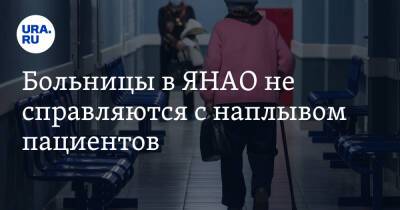 Больницы в ЯНАО не справляются с наплывом пациентов - ura.news - окр. Янао