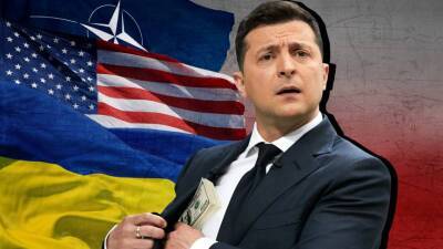 Владимир Зеленский - Эксперт по лжи Анищенко оценил нервоз Зеленского на Мюнхенской конференции - inforeactor.ru - Украина