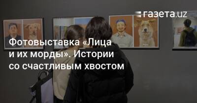 Фотовыставка «Лица и их морды». Истории со счастливым хвостом - gazeta.uz - Узбекистан