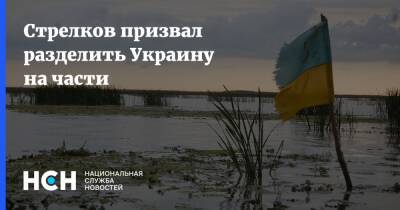 Сергей Марков - Стрелков призвал разделить Украину на части - nsn.fm - Россия - Украина - Крым - ДНР - Крым
