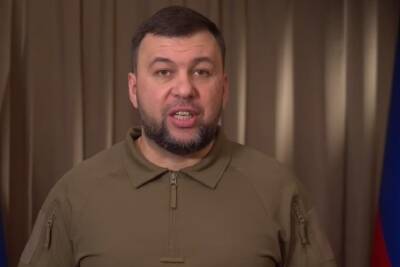 Денис Пушилин - Пушилин призвал все мужское население ДНР прибыть в военкоматы - mk.ru - Украина - ДНР - ЛНР - Донецкая обл.