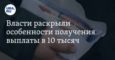 Владимир Путин - Власти раскрыли особенности получения выплаты в 10 тысяч - ura.news - Россия - ДНР - Ростовская обл. - ЛНР - Донбасс - Донецкая обл.