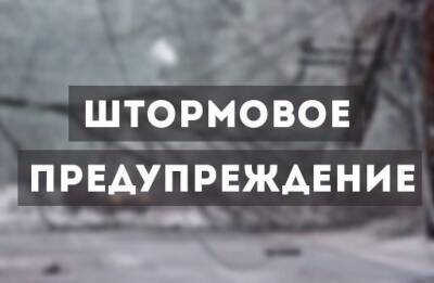 В Смоленской области вновь прогнозируют порывы ветра до 20 м/с - rabochy-put.ru - Смоленск - Смоленская обл.