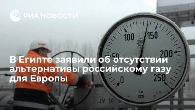 Экс-министр нефти Египта Камаль: полноценной альтернативы российскому газу для Европы нет - smartmoney.one - Россия - Египет - Алжир - Катар - Европа