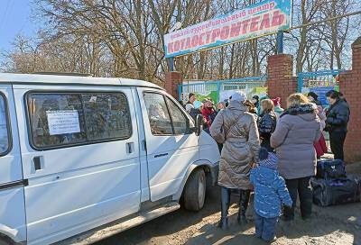 Денис Пушилин - ВЦИОМ: 80% россиян поддерживают решение о приеме беженцев - tvc.ru - Россия - ДНР - ЛНР - Донбасс