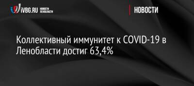 Коллективный иммунитет к COVID-19 в Ленобласти достиг 63,4% - ivbg.ru - Россия - Украина - Ленинградская обл. - Санкт-Петербург