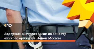 Задержаны стрелявшие изогнестрельного оружия вНовой Москве - ridus.ru - Москва - Царьград - округ Троицкий и Новомосковский, Москва