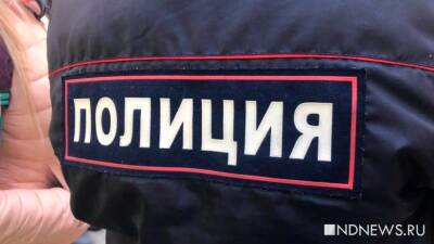 Наталья Рязанова - В Нижнем Новгороде бившая сына тиктокерша попала на учет в полиции - newdaynews.ru - Нижний Новгород - Казань