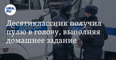 Десятиклассник получил пулю в голову, выполняя домашнее задание - ura.news - Россия - Московская обл.