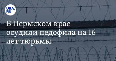 В Пермском крае осудили педофила на 16 лет тюрьмы - ura.news - Пермь - Пермский край - Соликамск